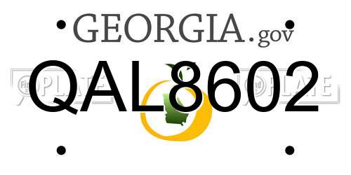 QAL8602 Georgia License Plate