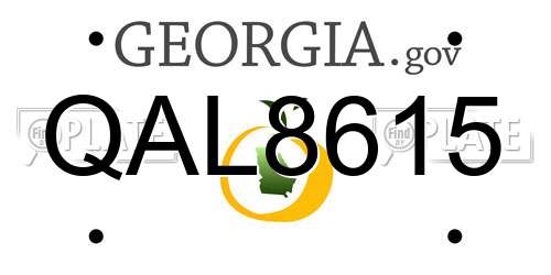 QAL8615 Georgia License Plate