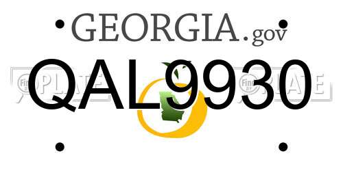QAL9930 Georgia License Plate