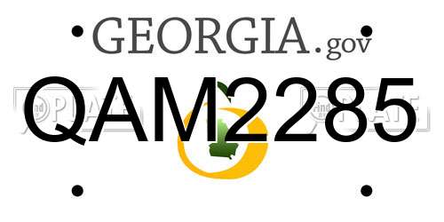 QAM2285 Georgia License Plate