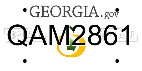 QAM2861 Georgia License Plate