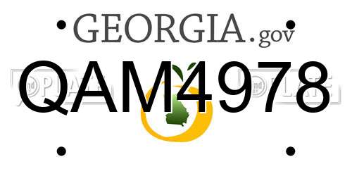 QAM4978 Georgia License Plate