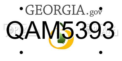 QAM5393 Georgia License Plate