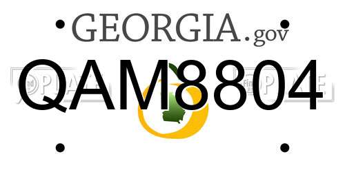 QAM8804 Georgia License Plate