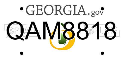 QAM8818 Georgia License Plate