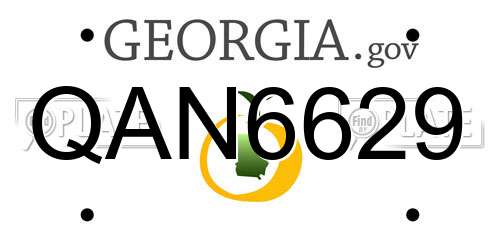 QAN6629 Georgia License Plate