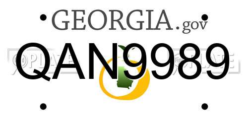 QAN9989 Georgia License Plate