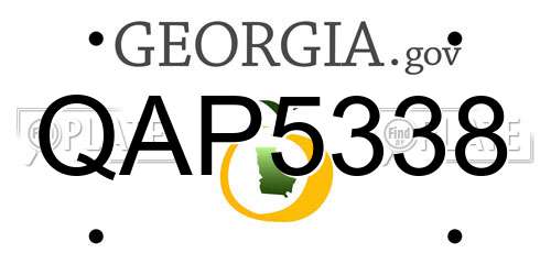 QAP5338 Georgia License Plate