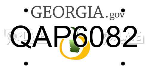 QAP6082 Georgia License Plate