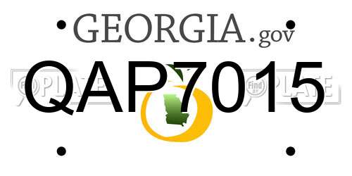 QAP7015 Georgia License Plate