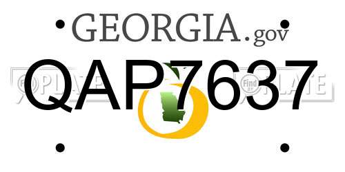 QAP7637 Georgia License Plate