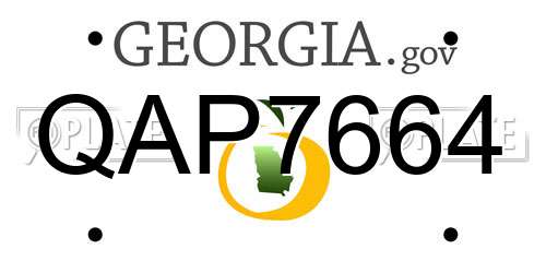 QAP7664 Georgia License Plate