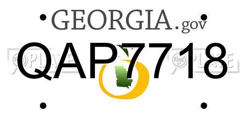 QAP7718 Georgia License Plate