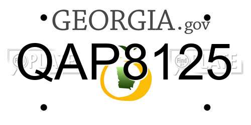 QAP8125 Georgia License Plate