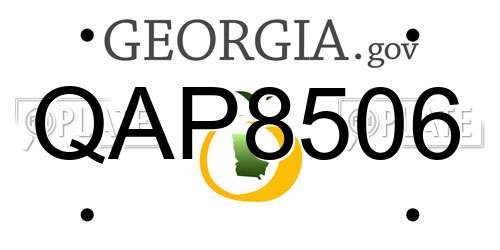 QAP8506 Georgia License Plate