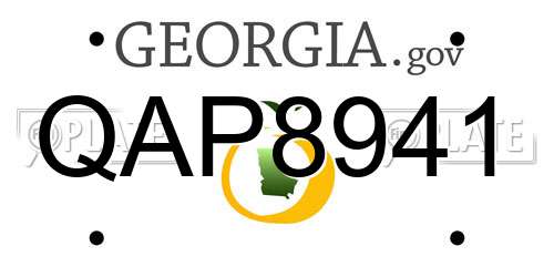 QAP8941 Georgia License Plate