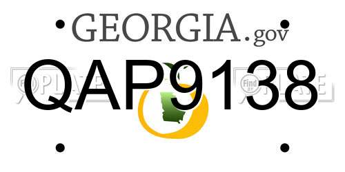 QAP9138 Georgia License Plate