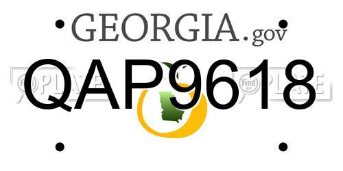 QAP9618 Georgia License Plate