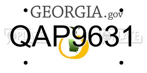 QAP9631 Georgia License Plate