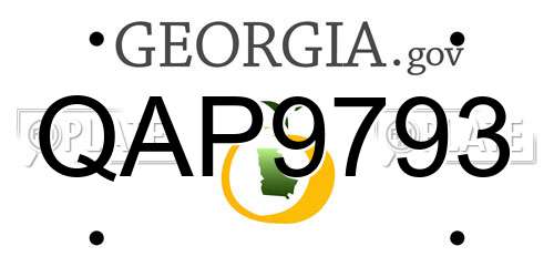QAP9793 Georgia License Plate