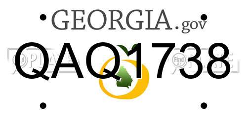 QAQ1738 Georgia License Plate