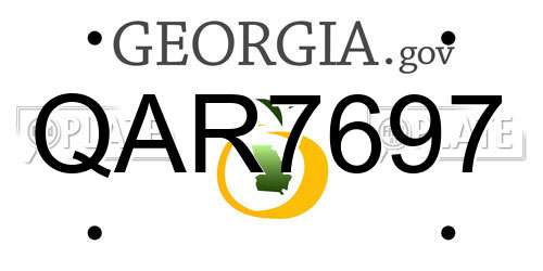 QAR7697 Georgia License Plate
