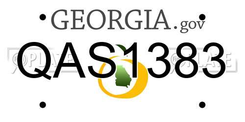QAS1383 Georgia License Plate