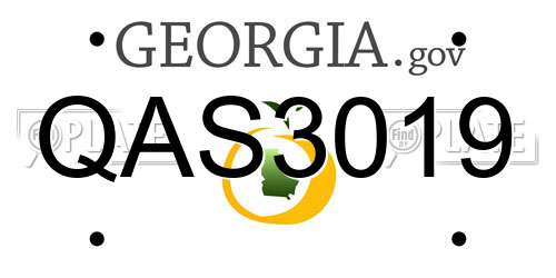 QAS3019 Georgia License Plate
