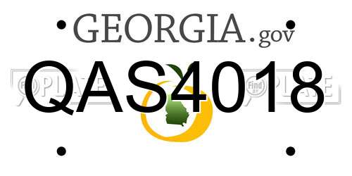 QAS4018 Georgia License Plate