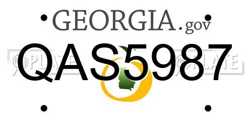 QAS5987 Georgia License Plate