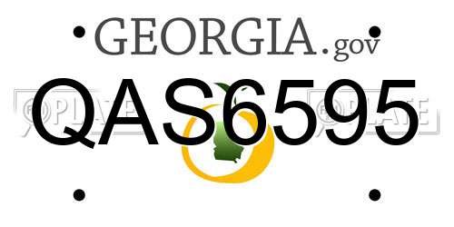 QAS6595 Georgia License Plate