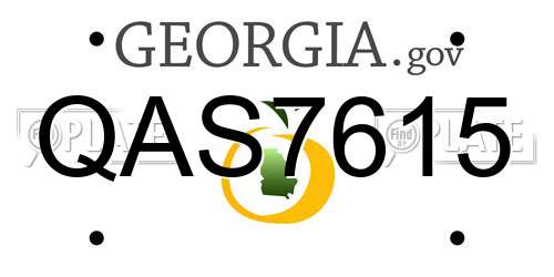 QAS7615 Georgia License Plate