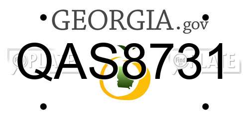 QAS8731 Georgia License Plate