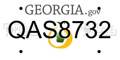 QAS8732 Georgia License Plate
