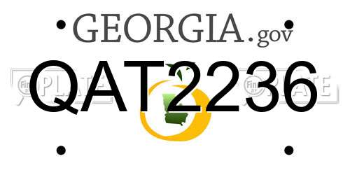 QAT2236 Georgia License Plate