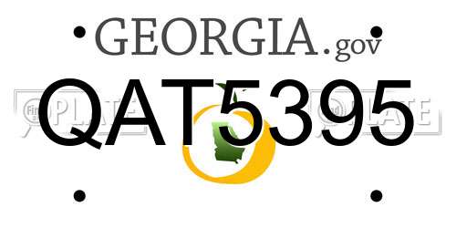 QAT5395 Georgia License Plate