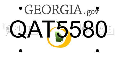 QAT5580 Georgia License Plate