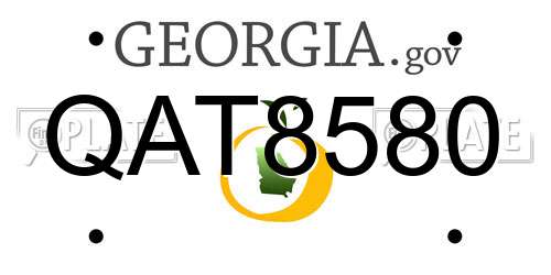 QAT8580 Georgia License Plate
