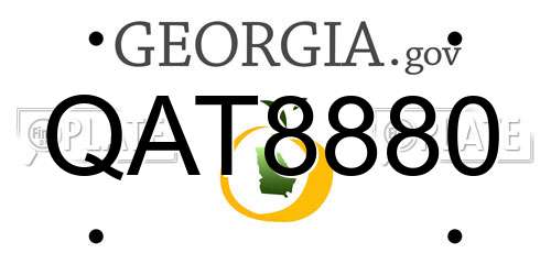 QAT8880 Georgia License Plate