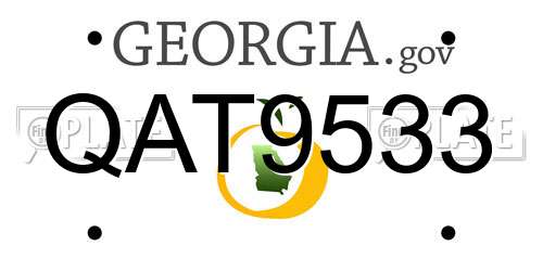 QAT9533 Georgia License Plate
