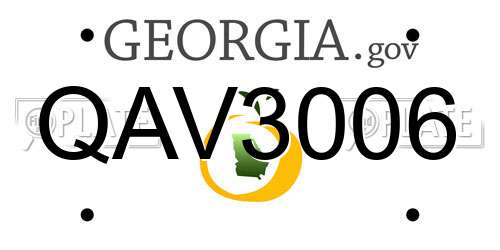 QAV3006 Georgia License Plate