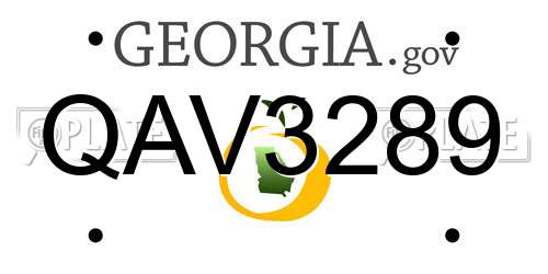 QAV3289 Georgia License Plate