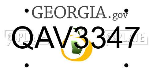 QAV3347 Georgia License Plate