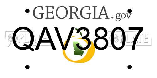 QAV3807 Georgia License Plate
