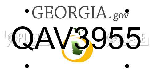 QAV3955 Georgia License Plate