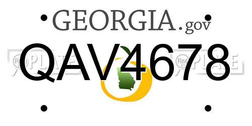 QAV4678 Georgia License Plate