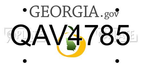 QAV4785 Georgia License Plate