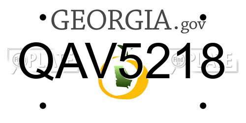 QAV5218 Georgia License Plate