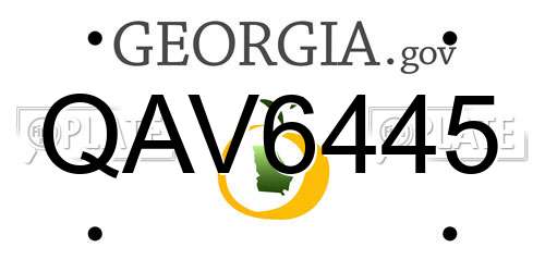 QAV6445 Georgia License Plate