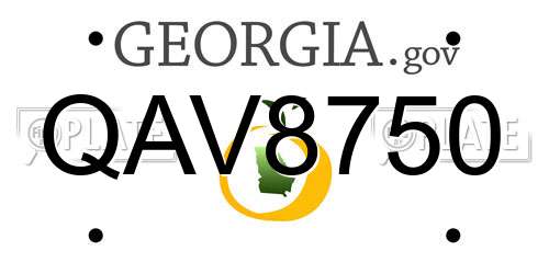 QAV8750 Georgia License Plate